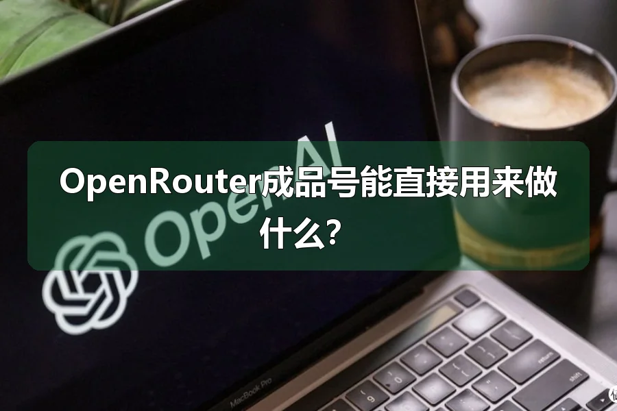 OpenRouter成品号能直接用来做什么?
